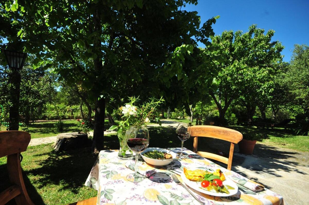 Casas De Santiago Villa Vila Nova de Cerveira Ngoại thất bức ảnh